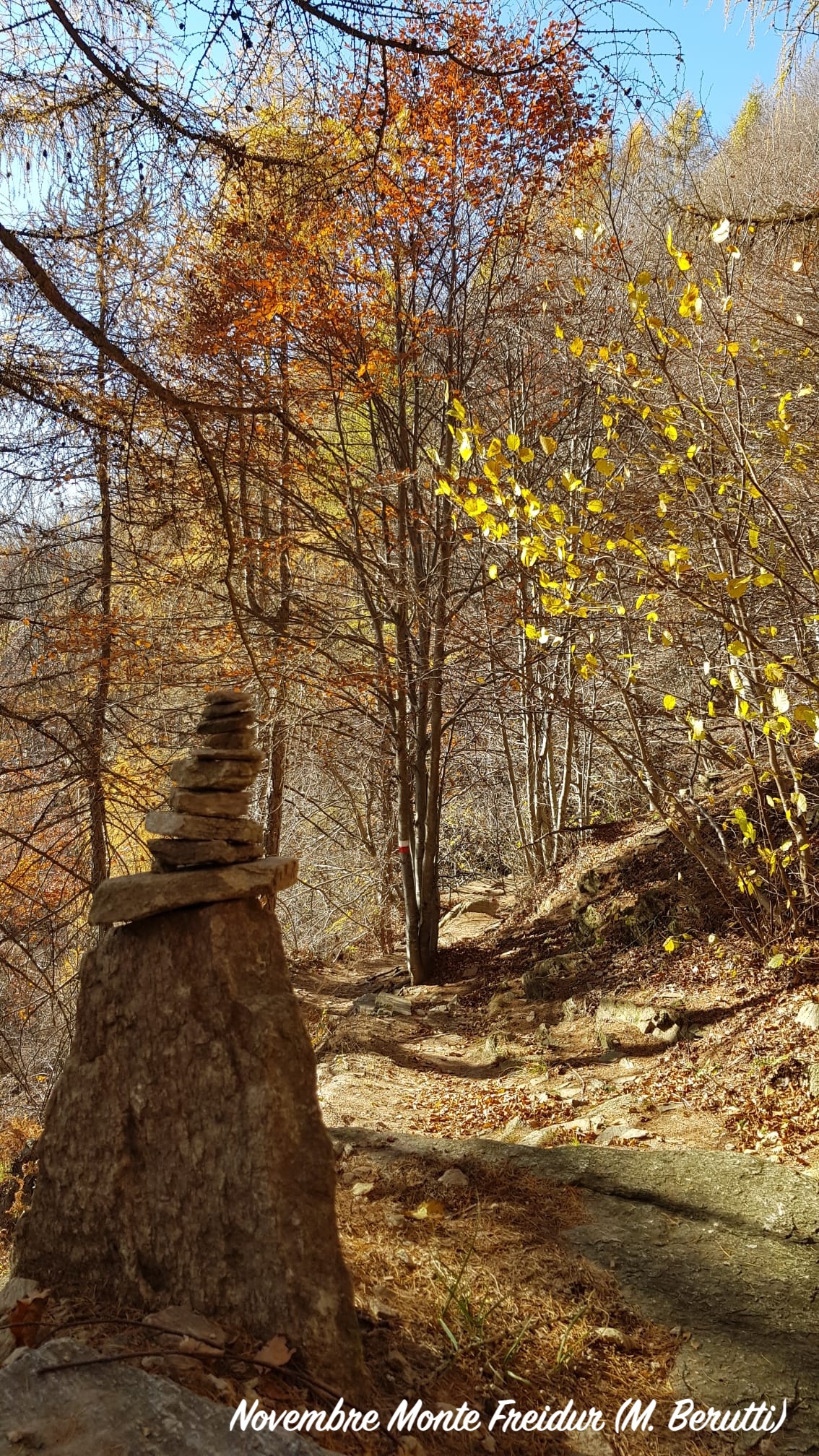 2311-11 monte Freidur 1.jpeg